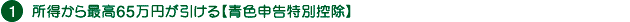 所得から最高65万円が引ける【青色申告特別控除】
